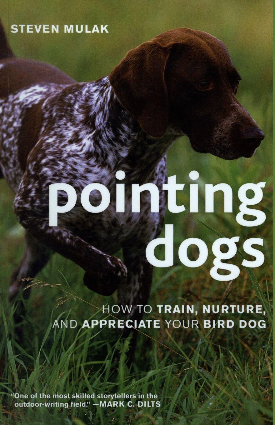 Vorderes Coverbild Pointing Dogs