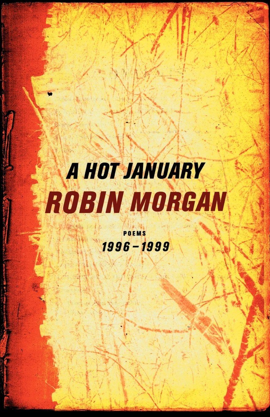 Vorderes Coverbild A Hot January