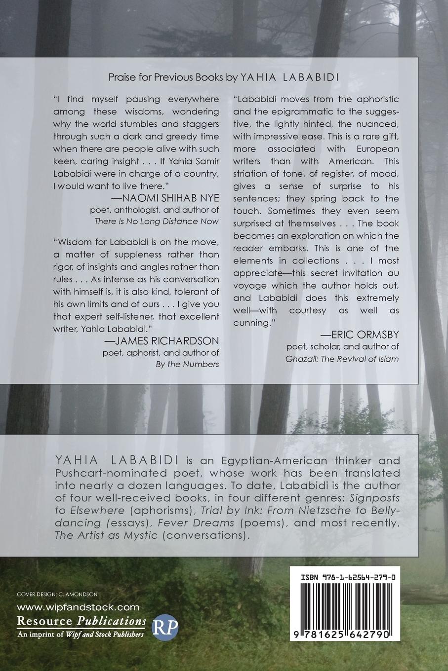 Rückseitencover Barely There