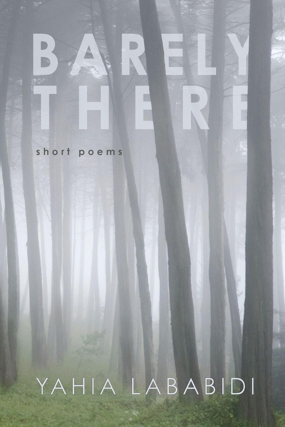 Vorderes Coverbild Barely There