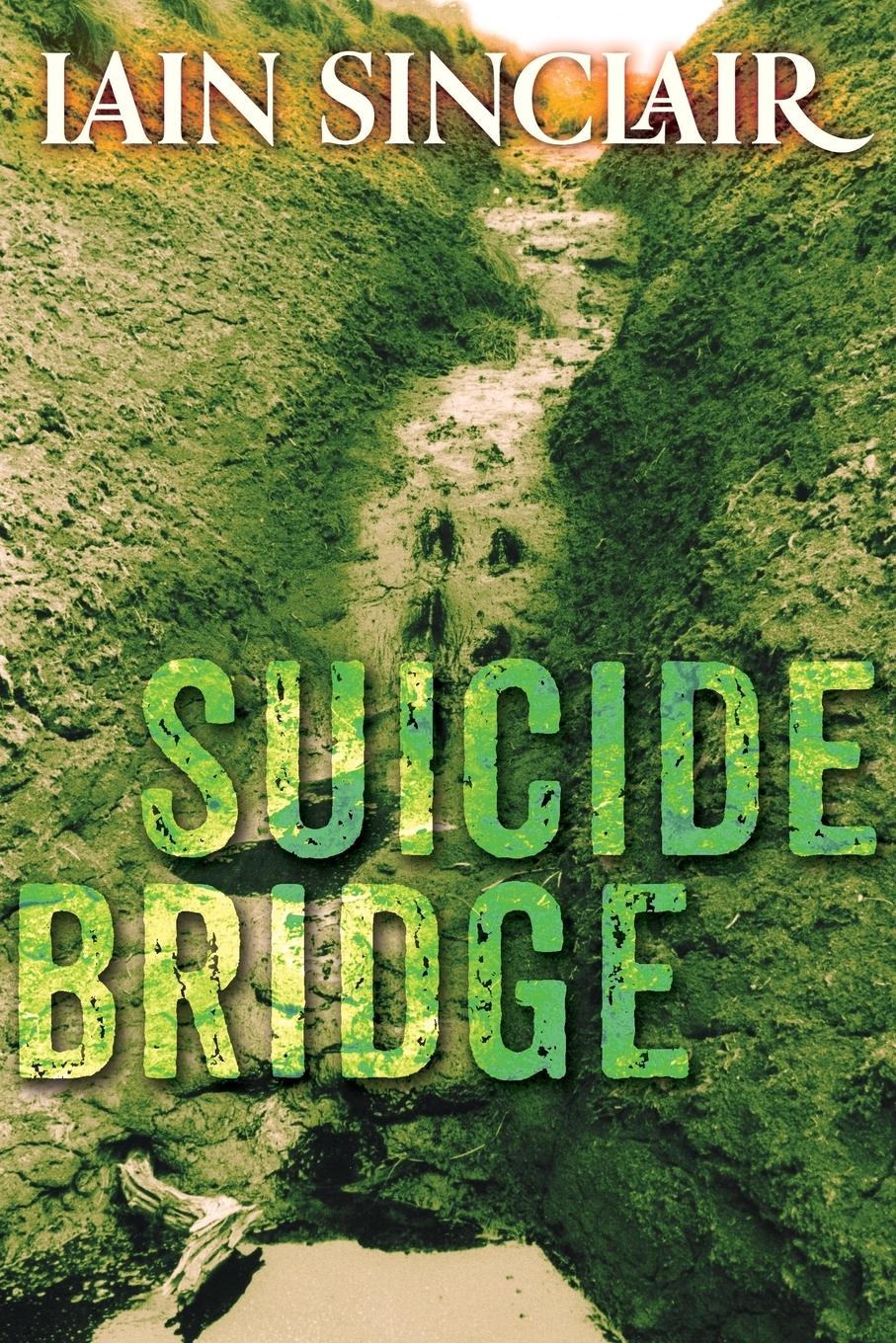 Vorderes Coverbild Suicide Bridge