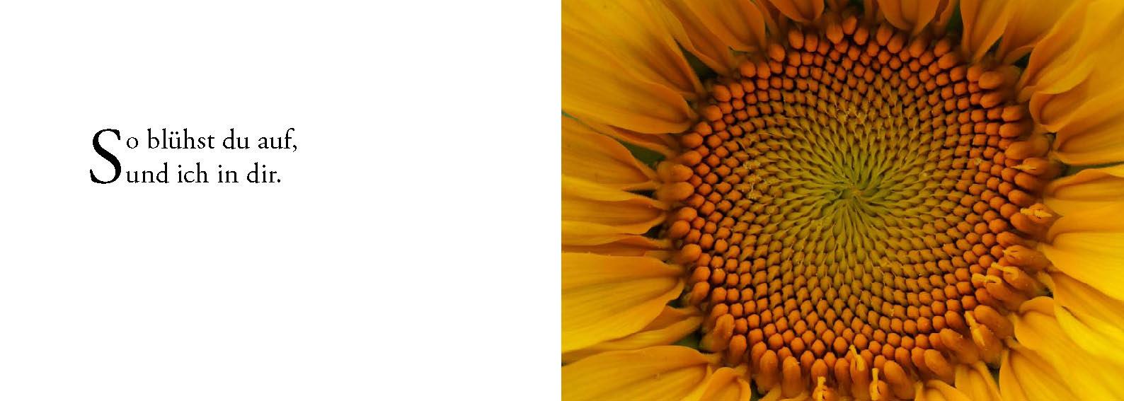 Beispielinhalt (Bild) Die Sonne sucht dich - Das Foto-Meditationsbuch für eine gute Schwangerschaft und Geburt