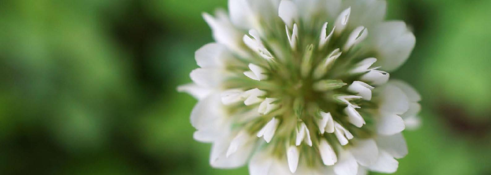 Beispielinhalt (Bild) Die Sonne sucht dich - Das Foto-Meditationsbuch für eine gute Schwangerschaft und Geburt