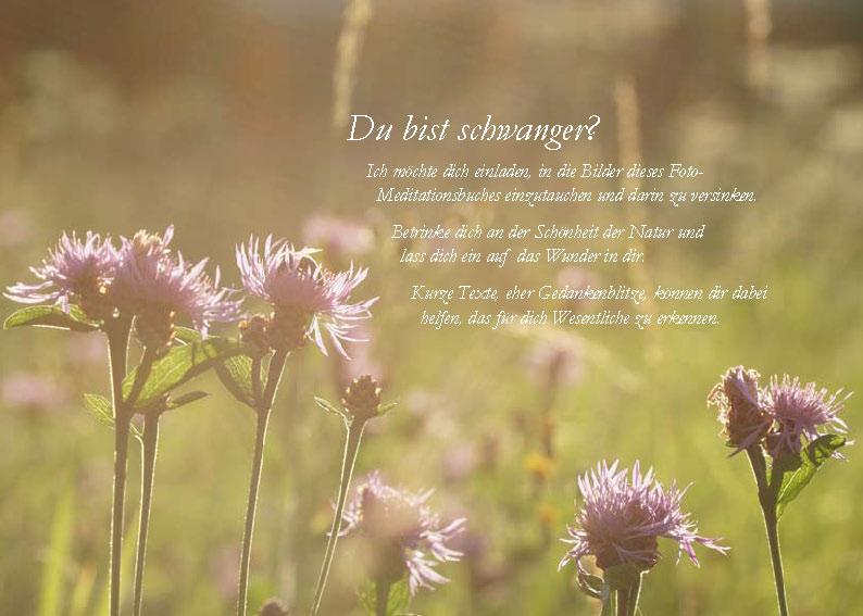 Beispielinhalt (Bild) Die Sonne sucht dich - Das Foto-Meditationsbuch für eine gute Schwangerschaft und Geburt