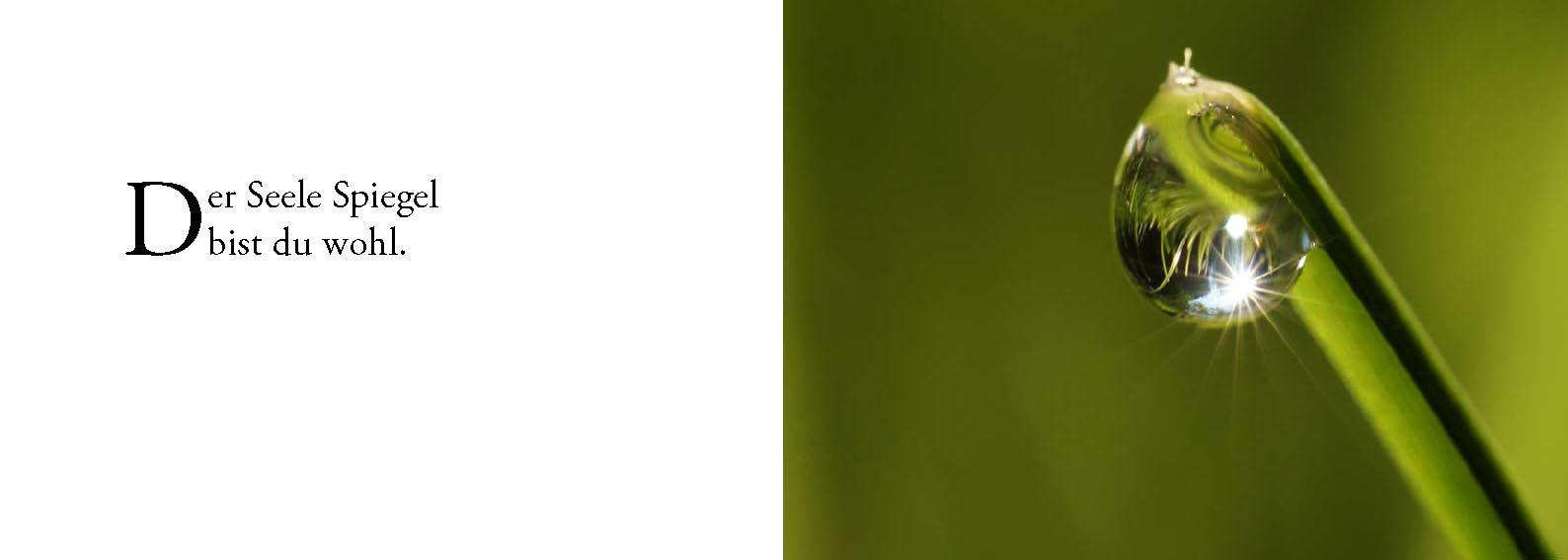 Beispielinhalt (Bild) Die Sonne sucht dich - Das Foto-Meditationsbuch für eine gute Schwangerschaft und Geburt