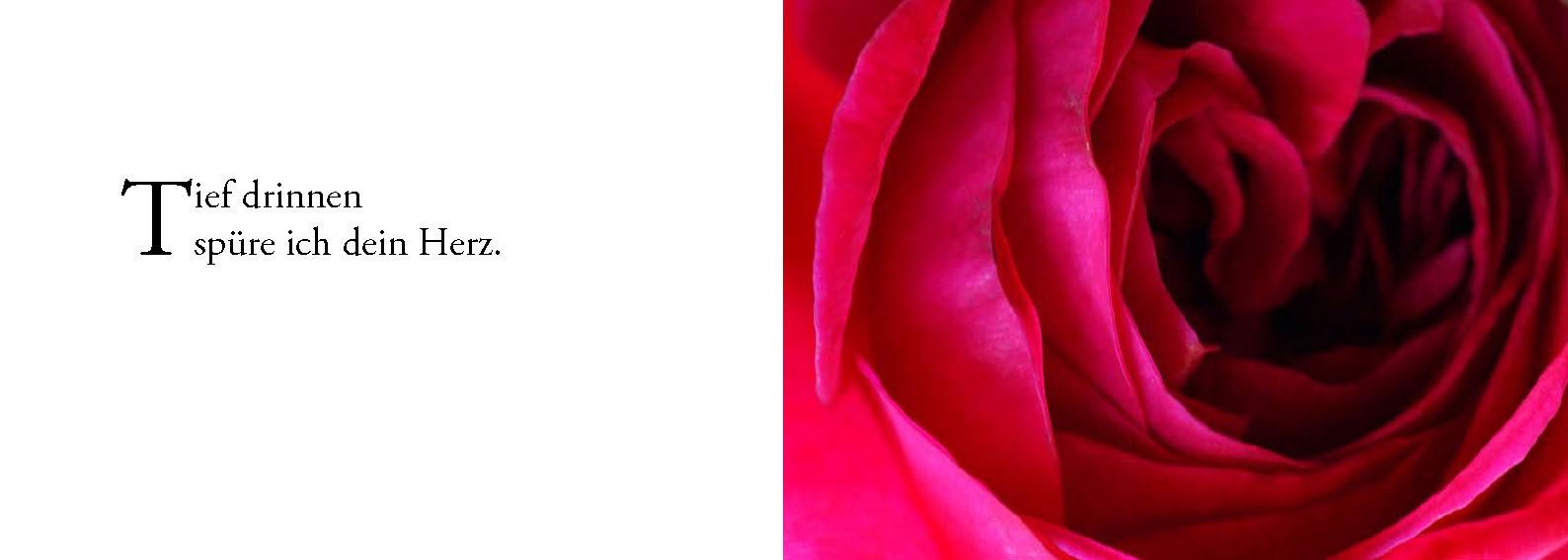 Beispielinhalt (Bild) Die Sonne sucht dich - Das Foto-Meditationsbuch für eine gute Schwangerschaft und Geburt