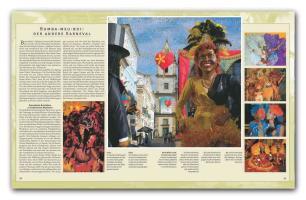 Beispielinhalt (Bild) Reise durch Brasilien