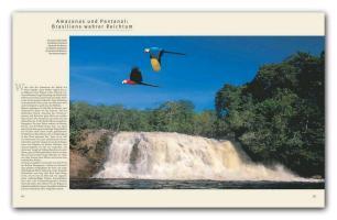 Beispielinhalt (Bild) Reise durch Brasilien