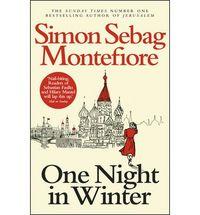 Vorderes Coverbild One Night in Winter