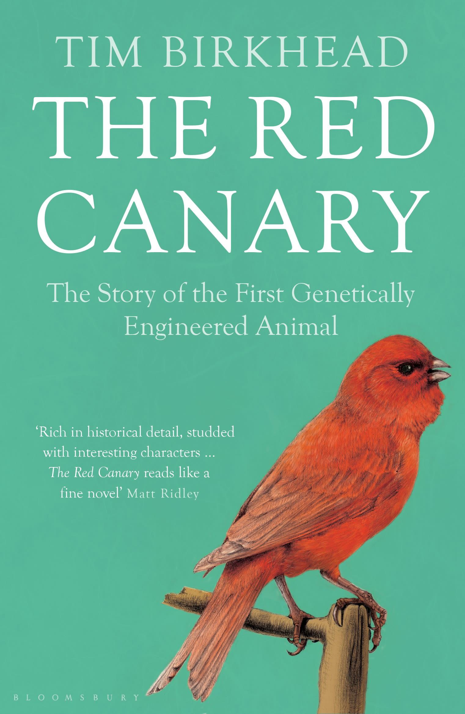 Vorderes Coverbild The Red Canary