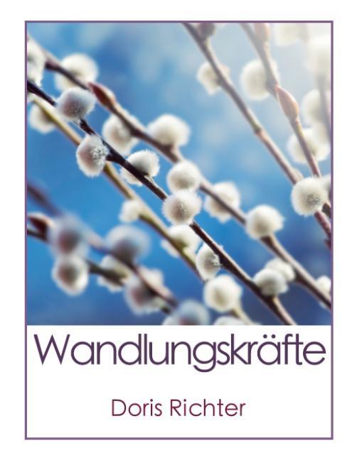 Vorderes Coverbild Wandlungskräfte