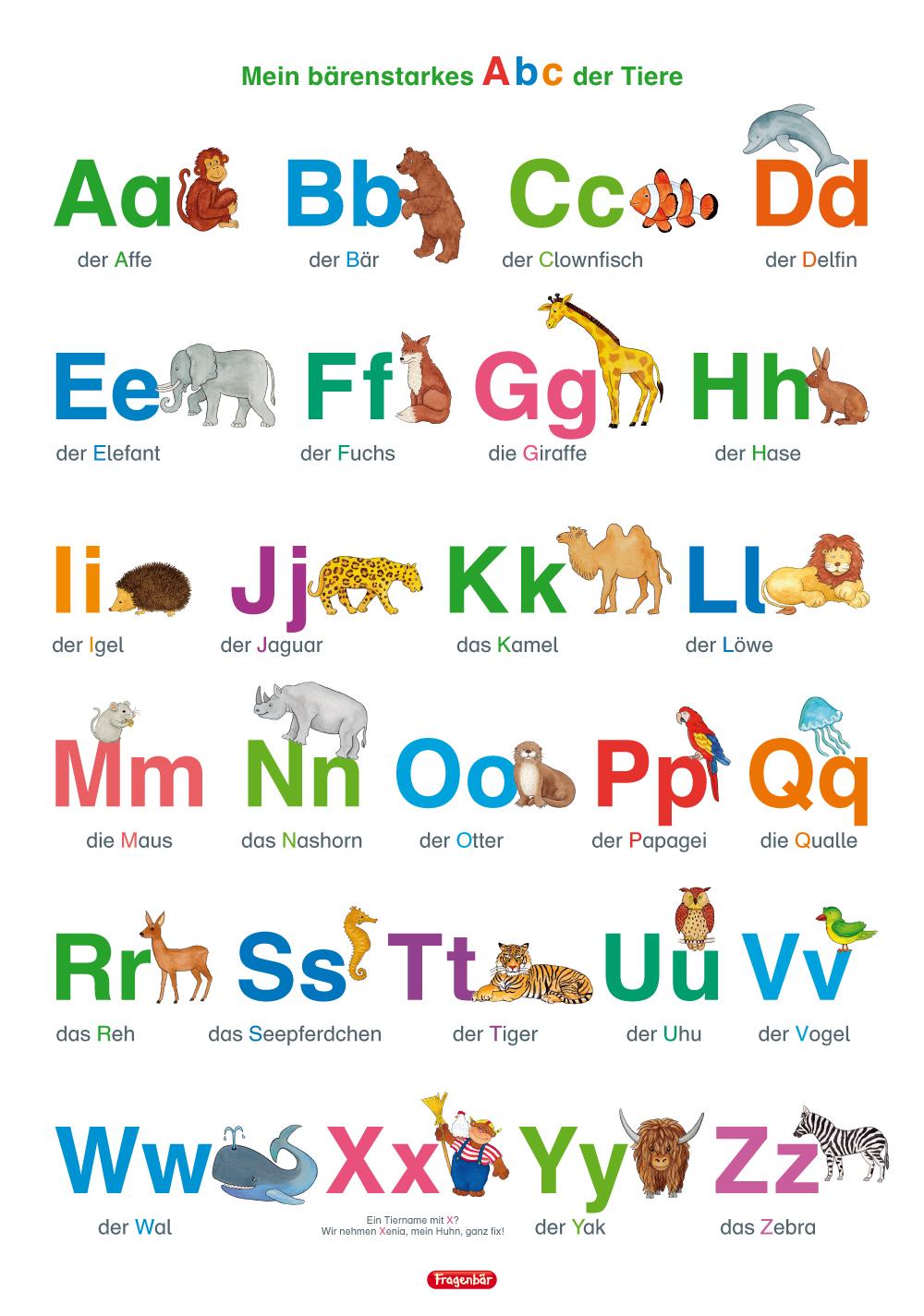 Vorderes Coverbild Lernposter. Mein bärenstarkes Abc der Tiere