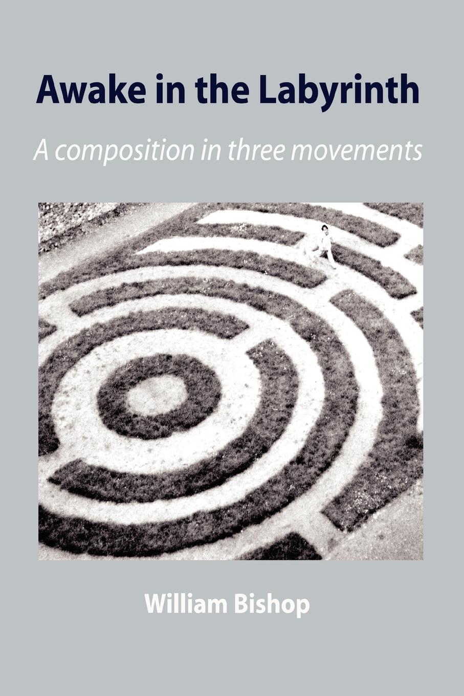 Vorderes Coverbild Awake in the Labyrinth