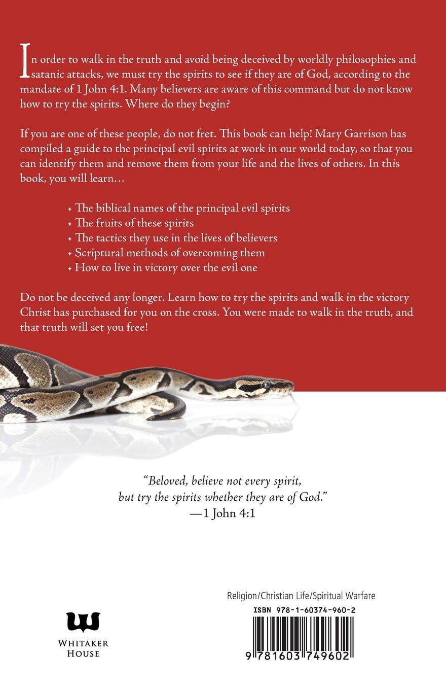 Rückseitencover How to Try a Spirit