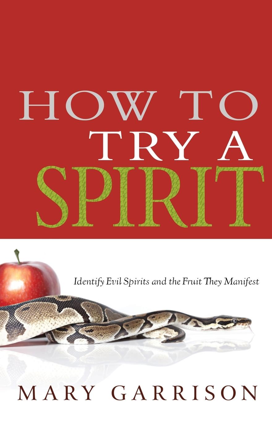 Vorderes Coverbild How to Try a Spirit