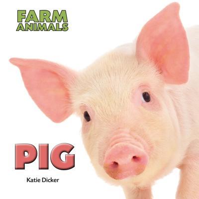 Vorderes Coverbild Pig