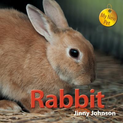 Vorderes Coverbild Rabbit