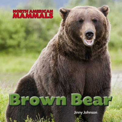 Vorderes Coverbild Brown Bear
