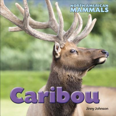 Vorderes Coverbild Caribou