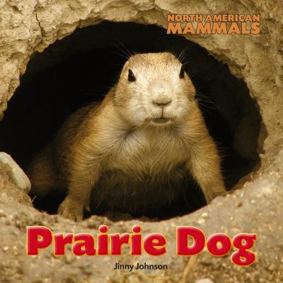 Vorderes Coverbild Prairie Dog
