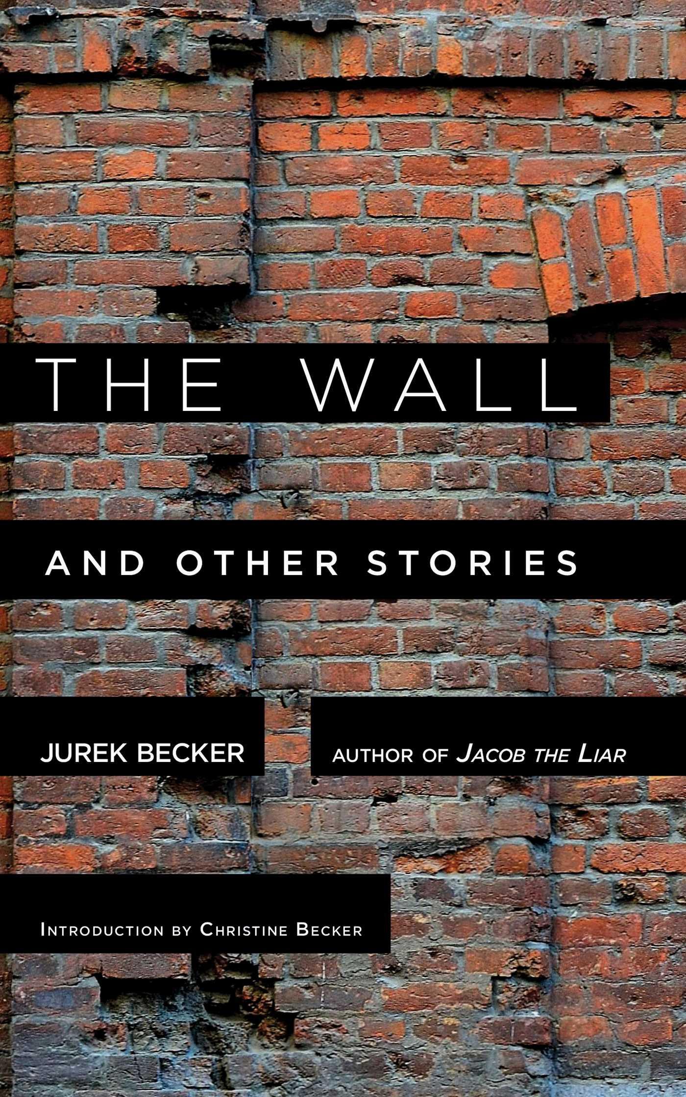 Vorderes Coverbild The Wall and Other Stories