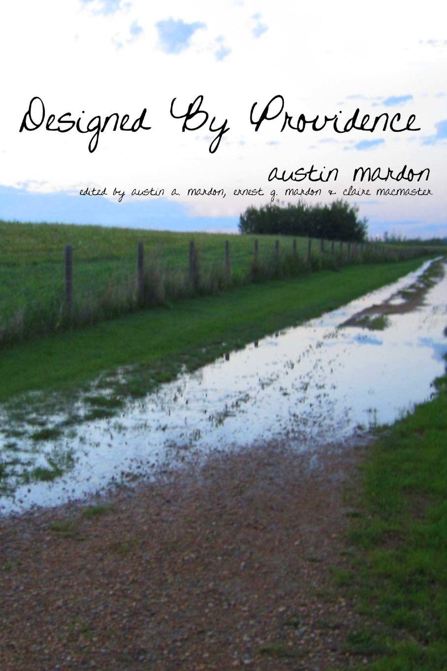 Vorderes Coverbild Designed by Providence