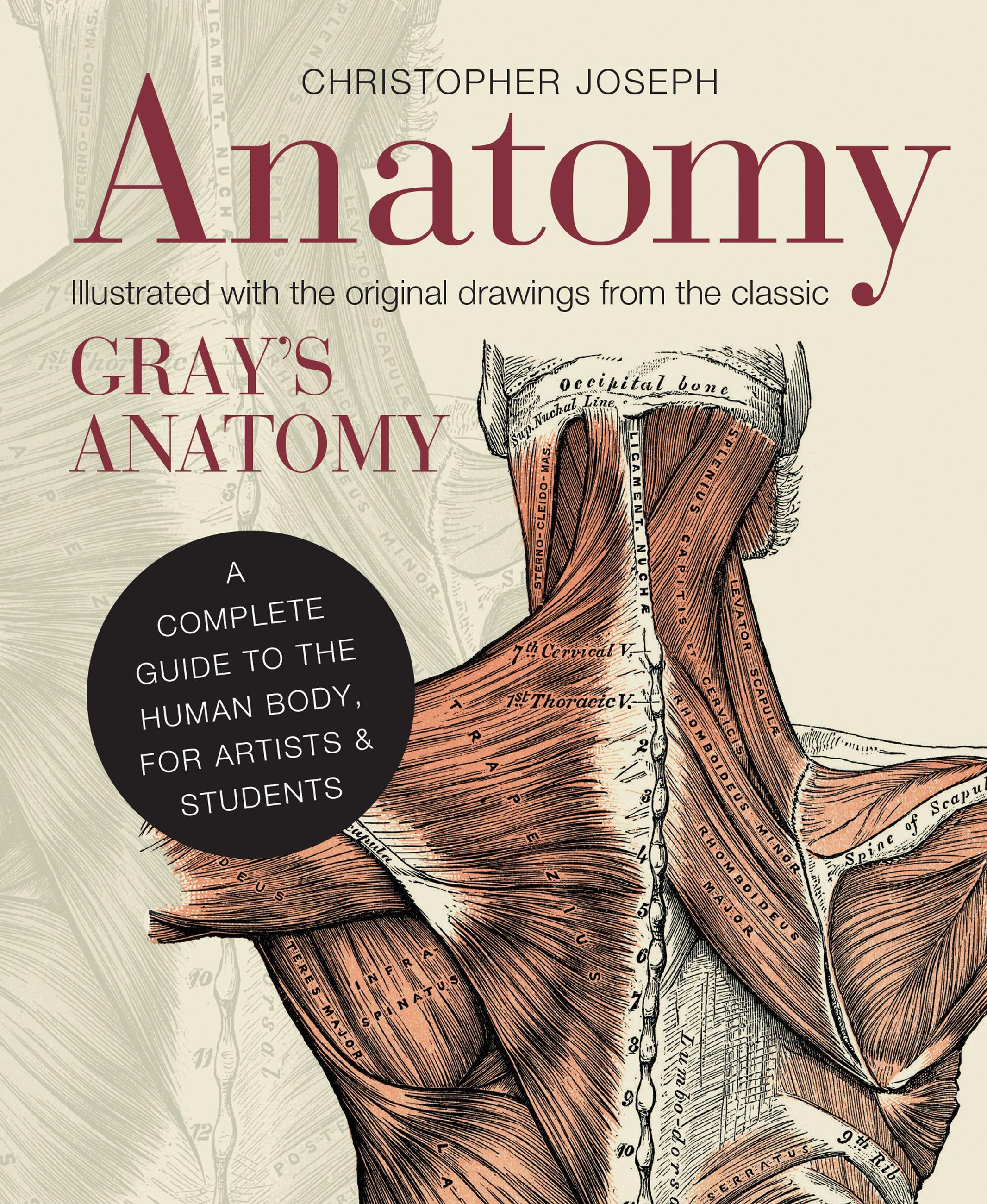 Vorderes Coverbild Anatomy