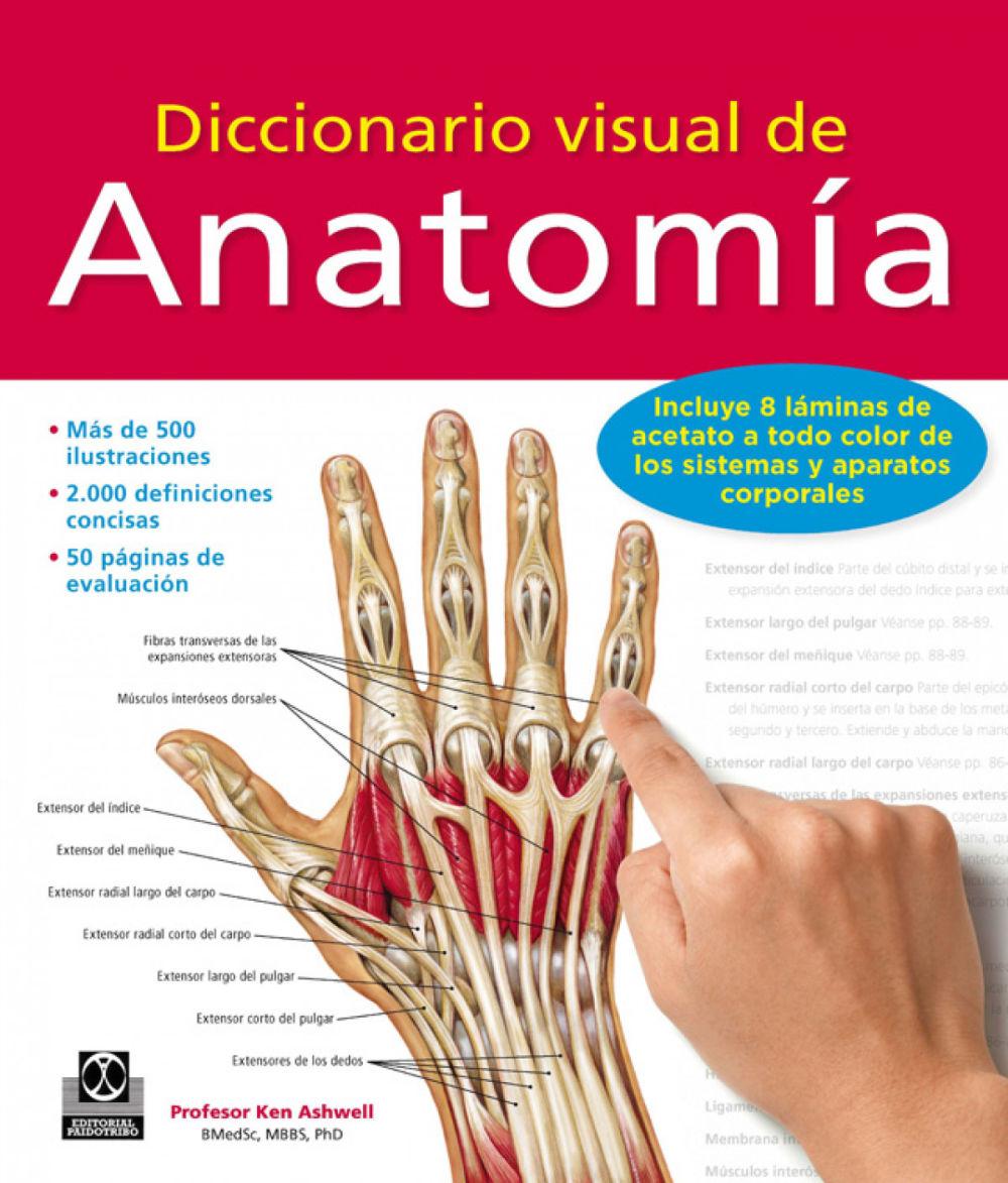 Beispielinhalt (Bild) Diccionario visual de anatomía