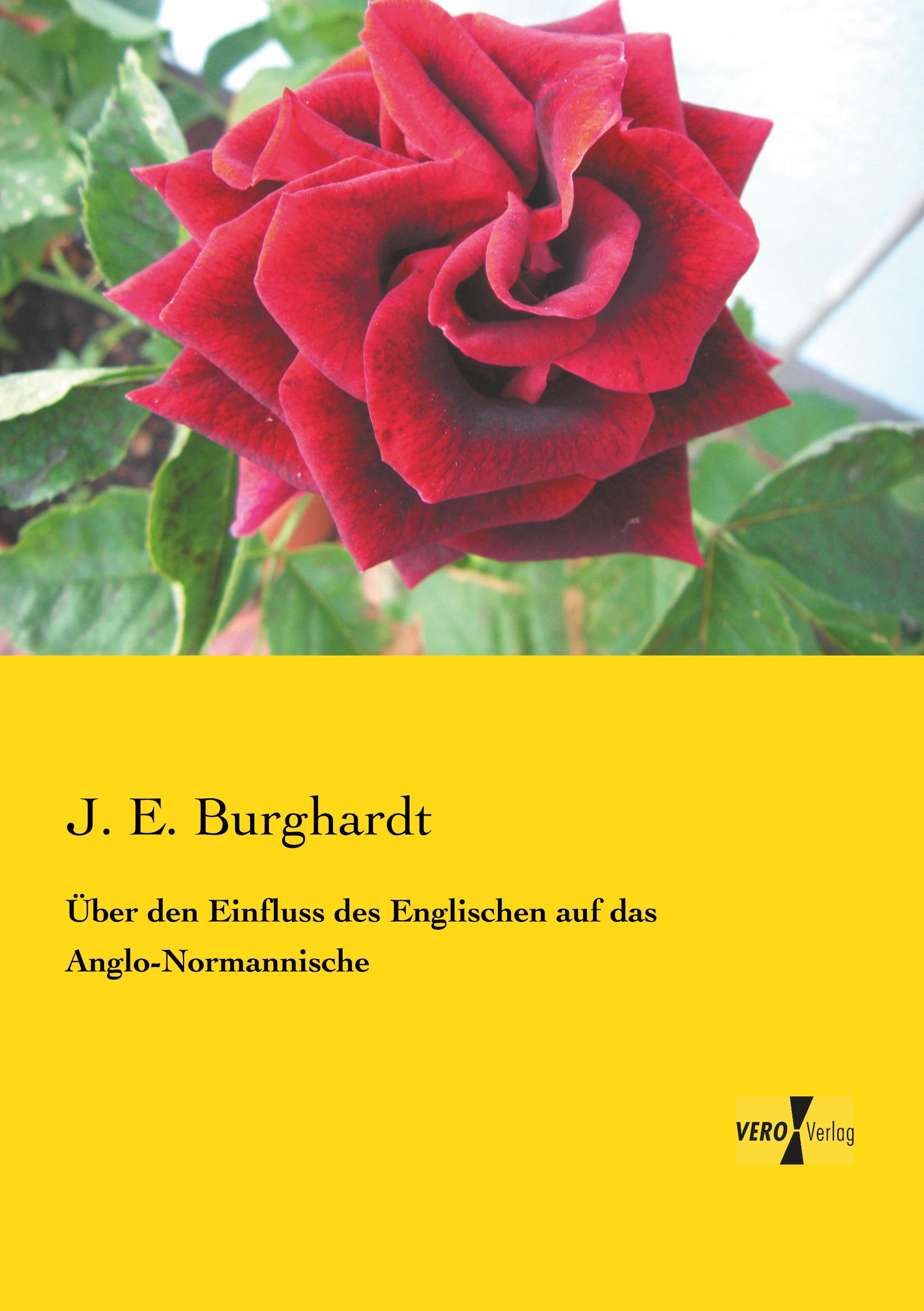 Vorderes Coverbild Über den Einfluss des Englischen auf das Anglo-Normannische