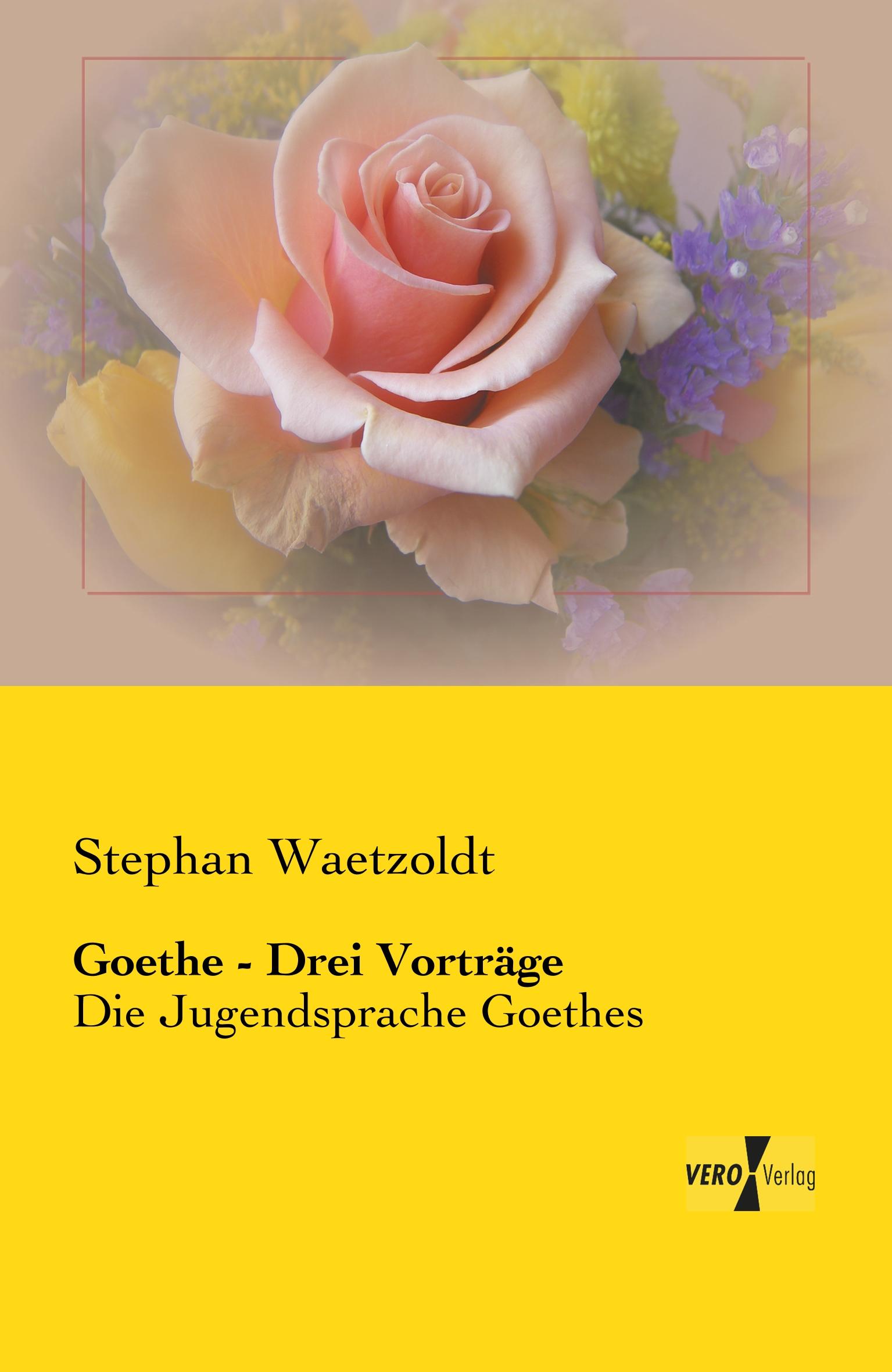 Vorderes Coverbild Goethe - Drei Vorträge