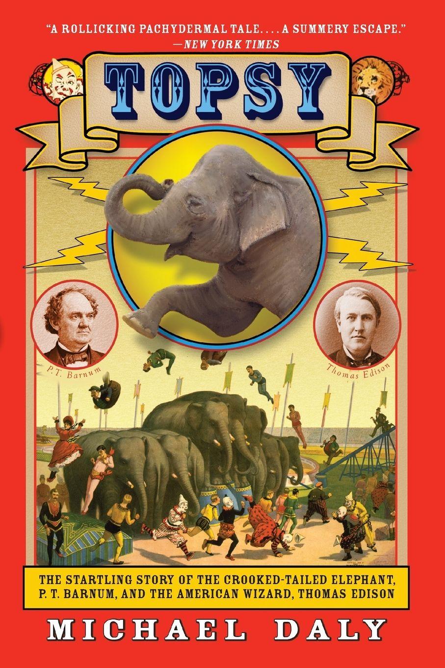 Vorderes Coverbild Topsy