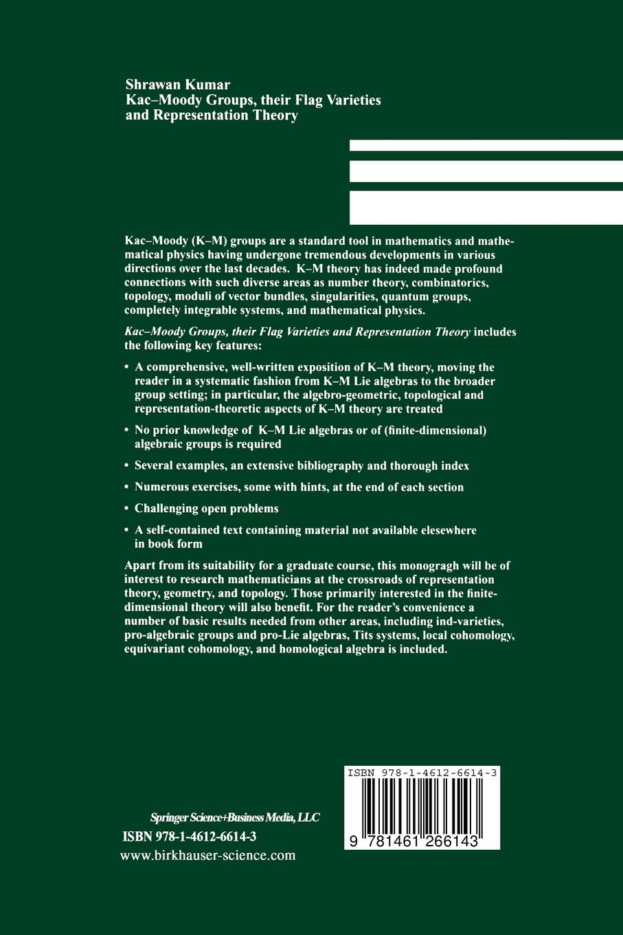Rückseitencover Kac-Moody Groups, their Flag Varieties and Representation Theory