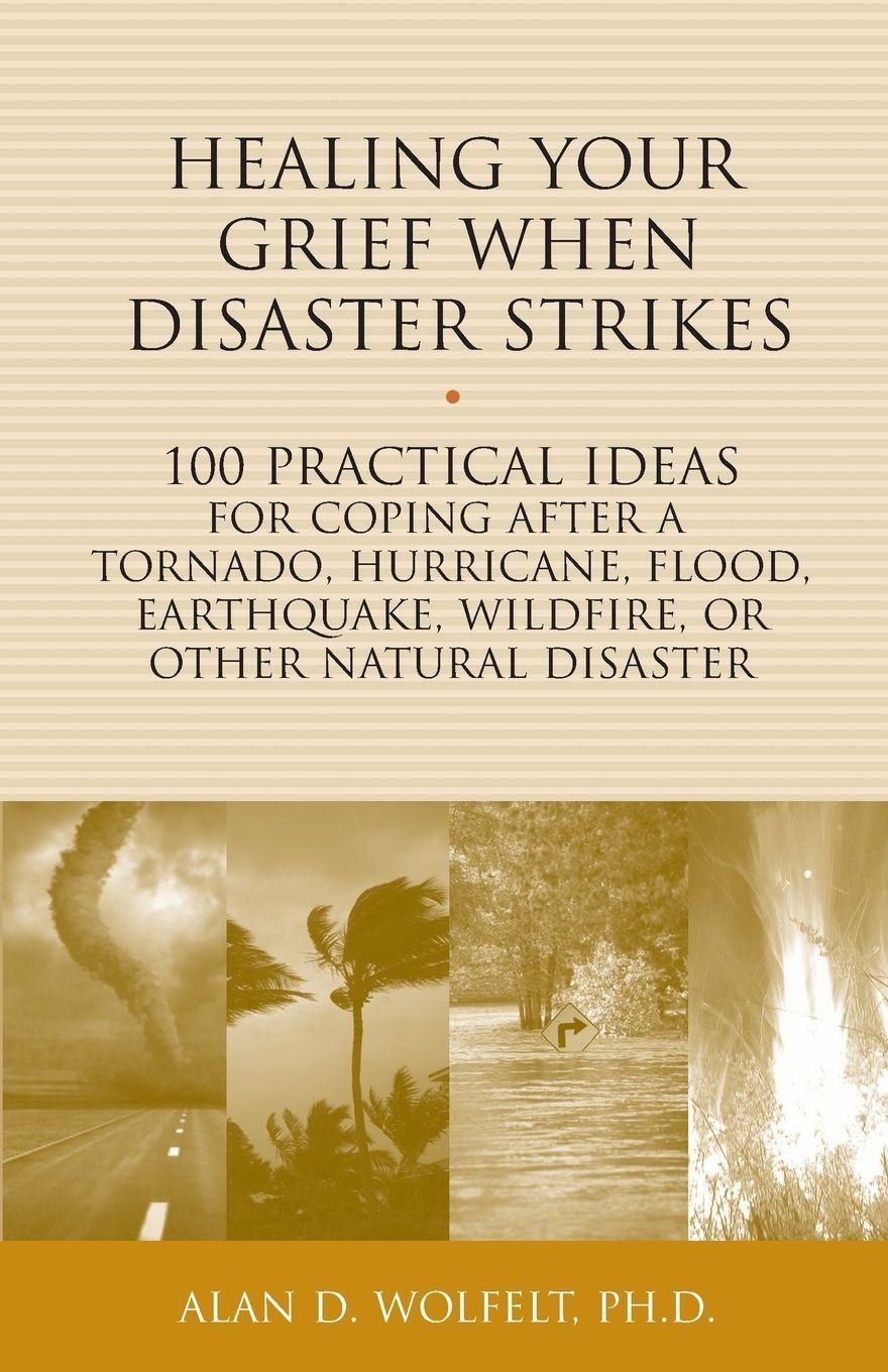 Vorderes Coverbild Healing Your Grief When Disaster Strikes