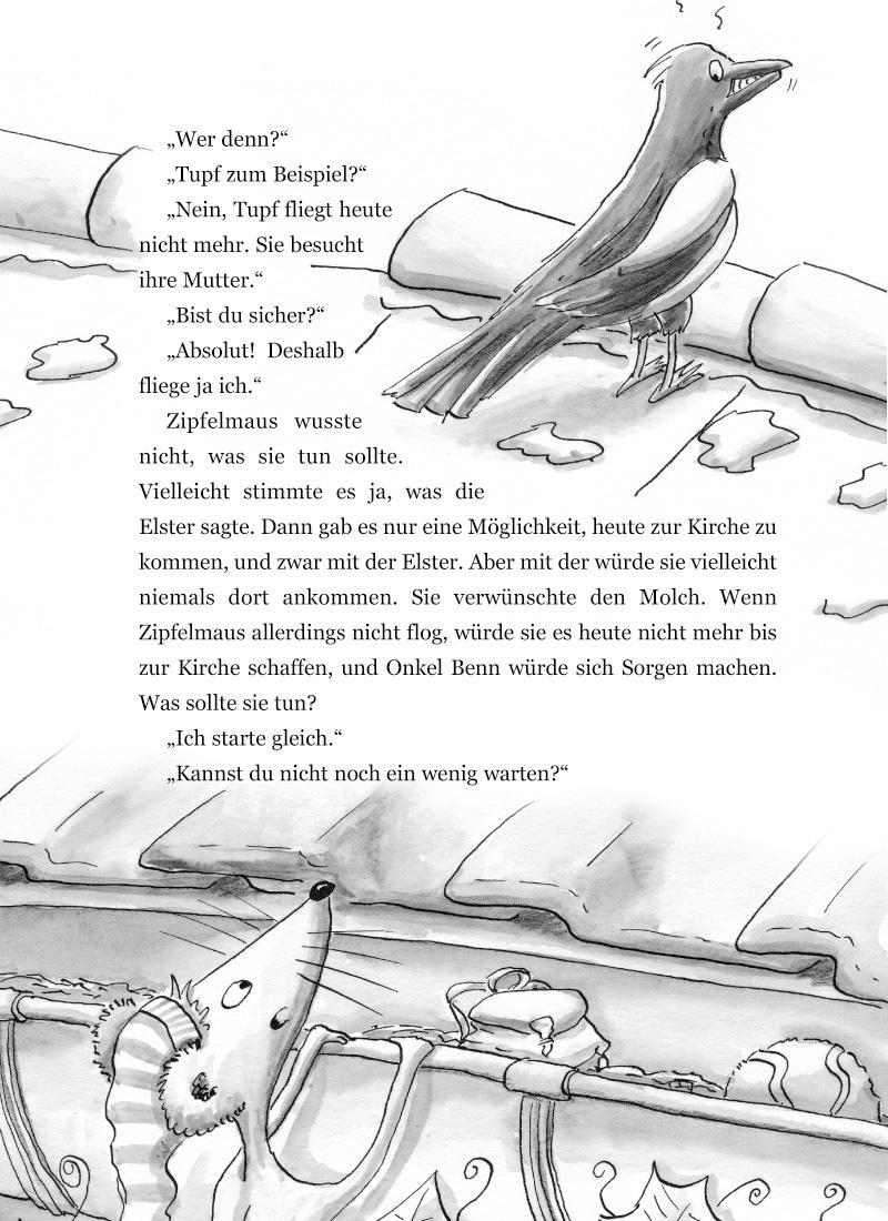 Beispielinhalt (Bild) Zipfelmaus und der geheimnisvolle Goldkratzer - Ein Kirchenkrimi