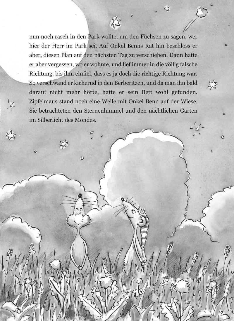 Beispielinhalt (Bild) Zipfelmaus und der geheimnisvolle Goldkratzer - Ein Kirchenkrimi