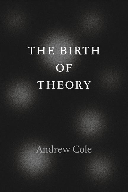 Vorderes Coverbild The Birth of Theory