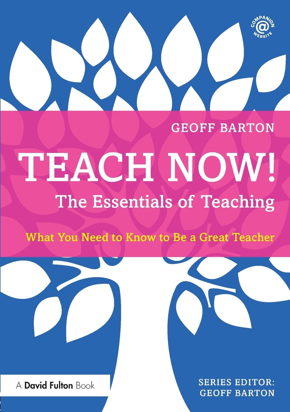 Vorderes Coverbild Teach Now! The Essentials of Teaching