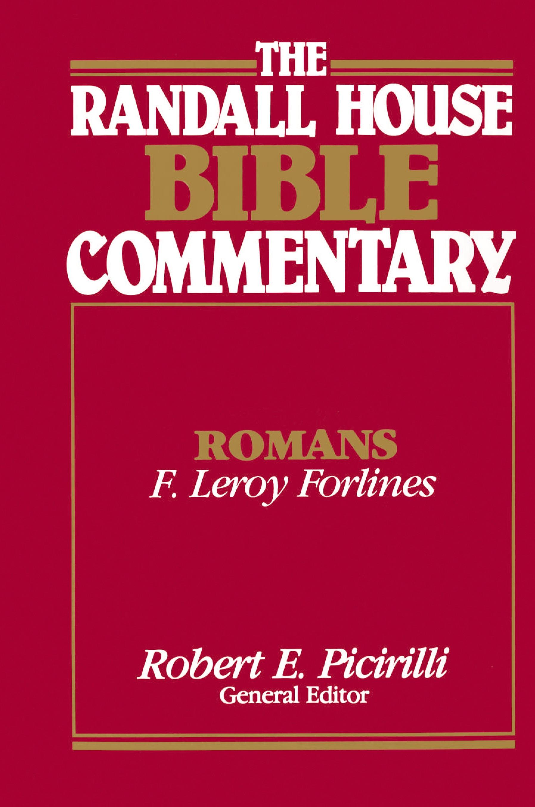 Vorderes Coverbild Romans