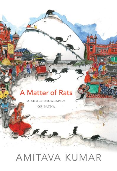 Vorderes Coverbild A Matter of Rats