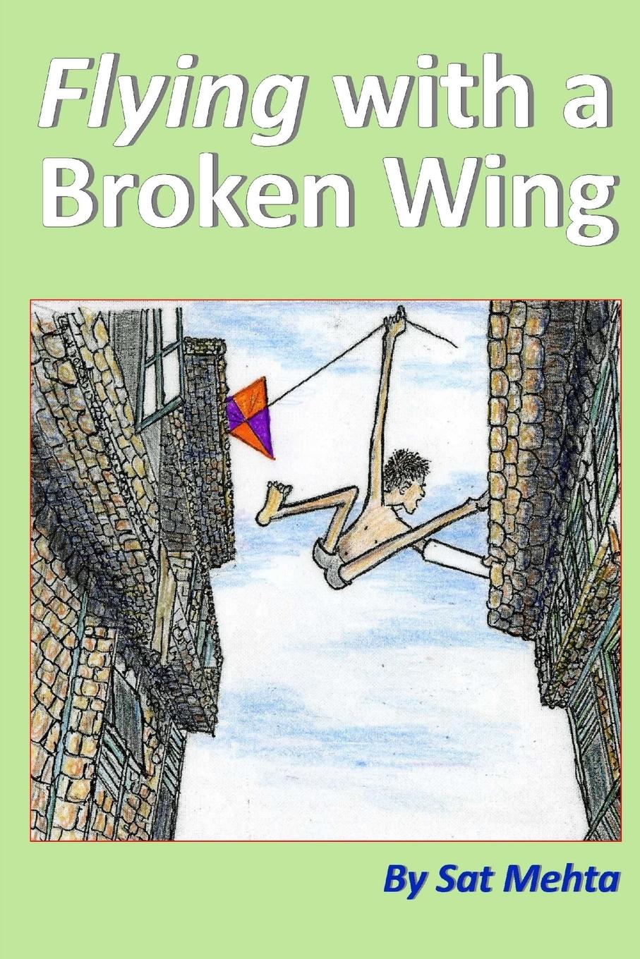 Vorderes Coverbild Flying with a Broken Wing