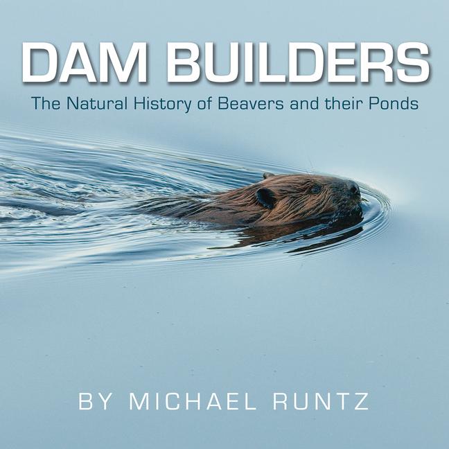 Vorderes Coverbild Dam Builders