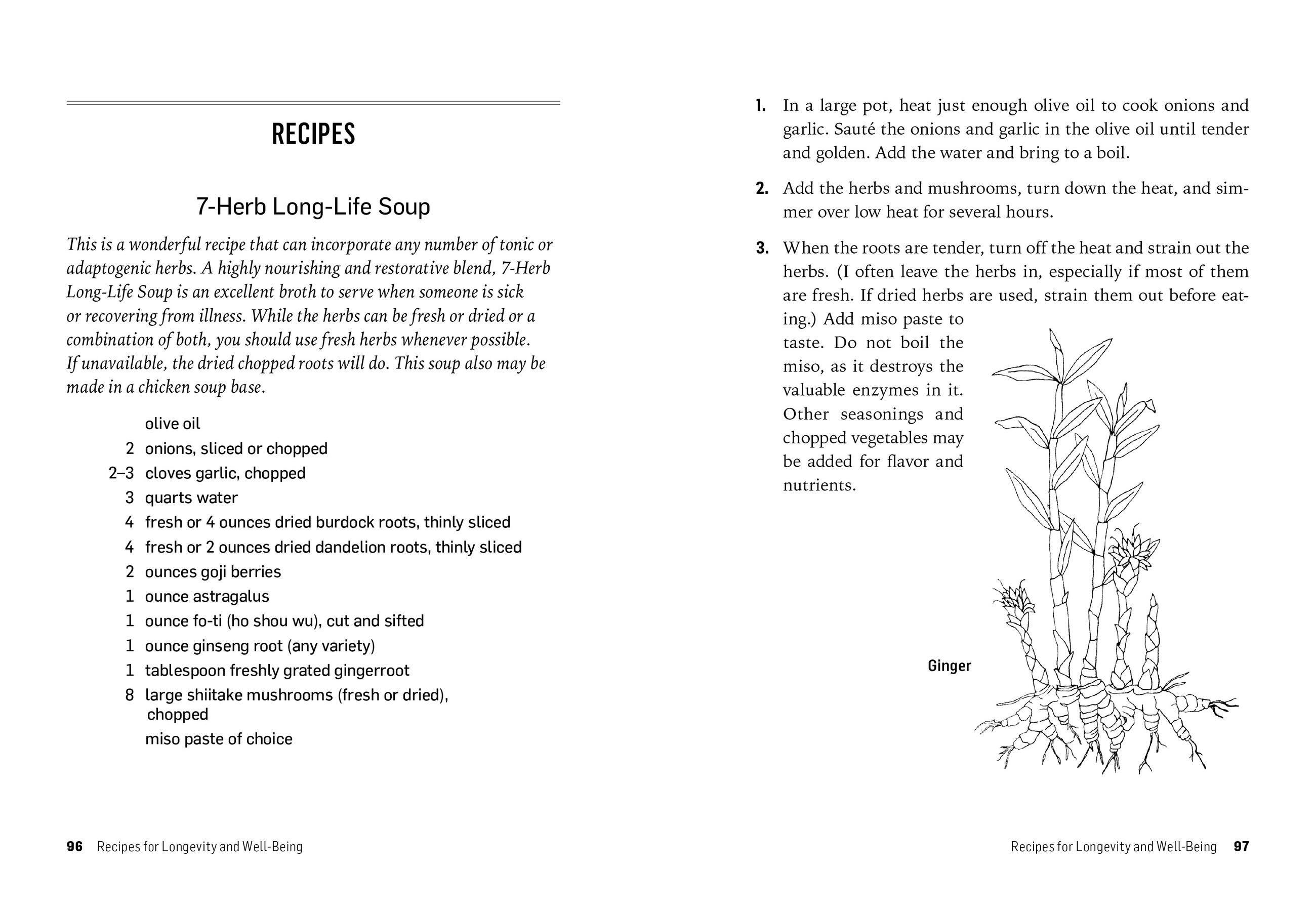 Beispielinhalt (Bild) Herbs for Long-Lasting Health