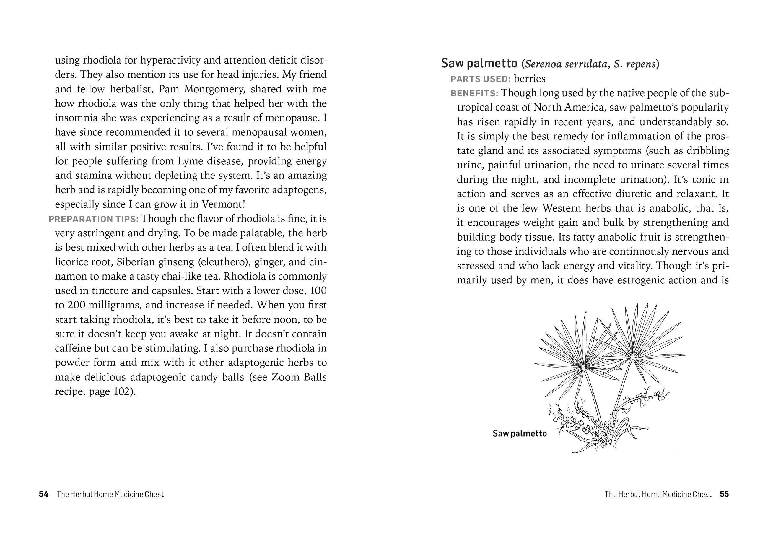 Beispielinhalt (Bild) Herbs for Long-Lasting Health