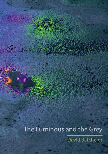 Vorderes Coverbild The Luminous and the Grey