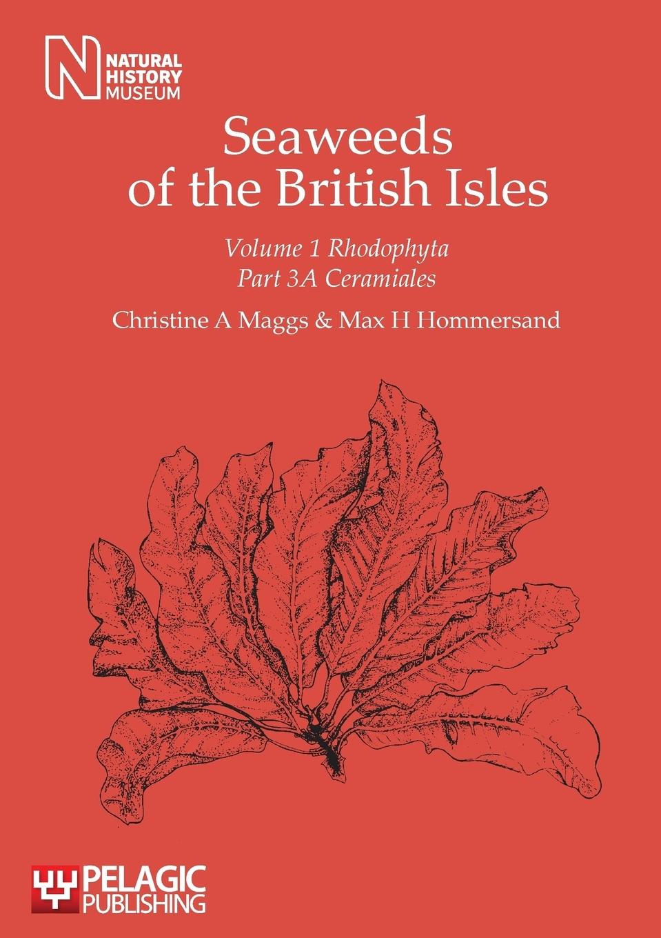 Vorderes Coverbild Seaweeds of the British Isles