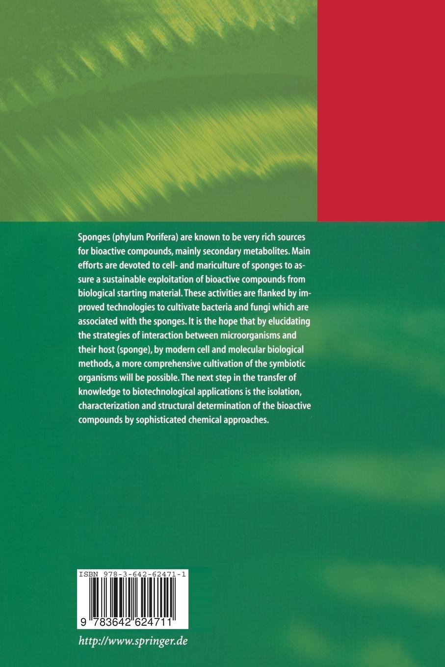 Rückseitencover Sponges (Porifera)