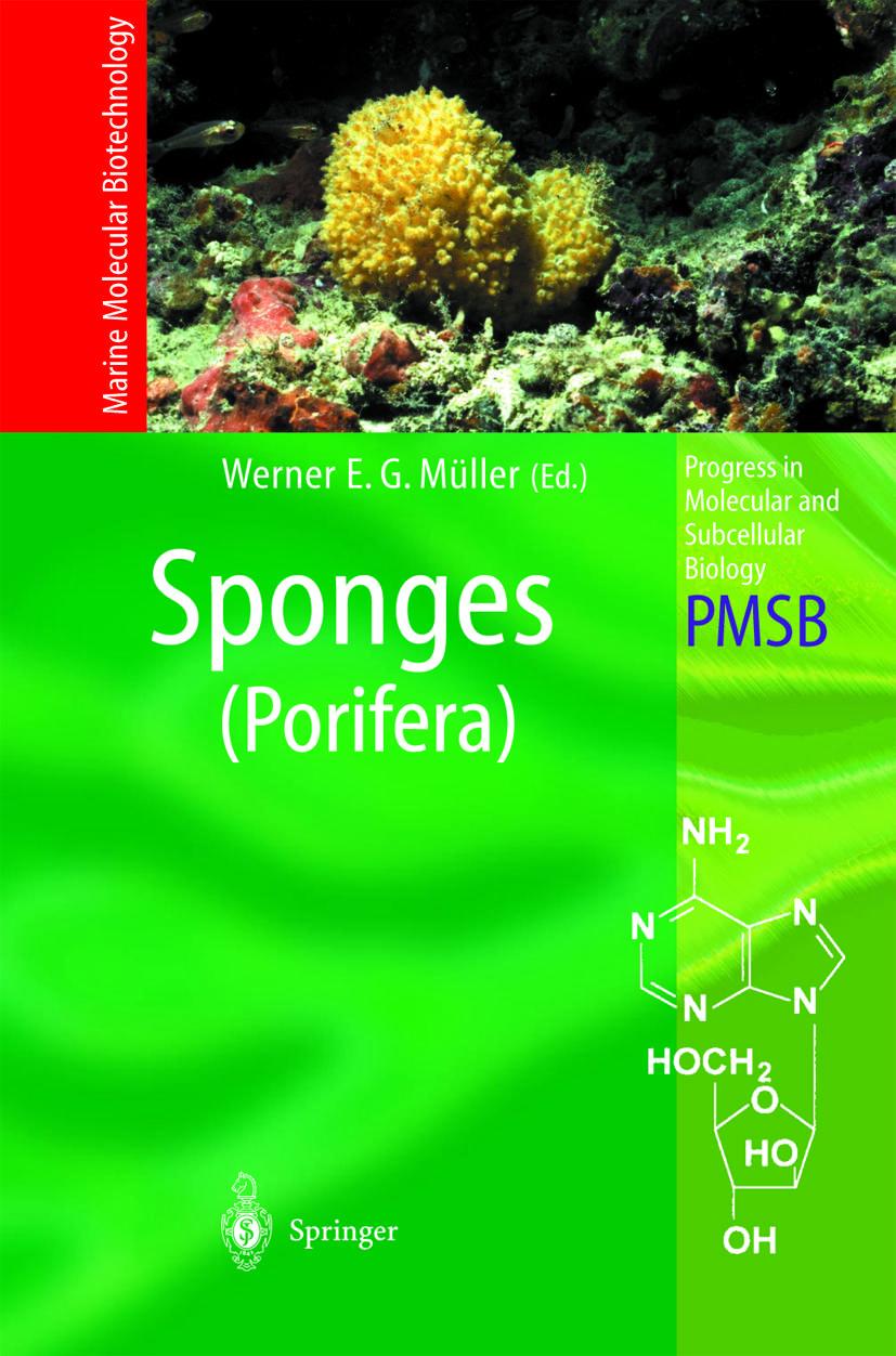 Vorderes Coverbild Sponges (Porifera)