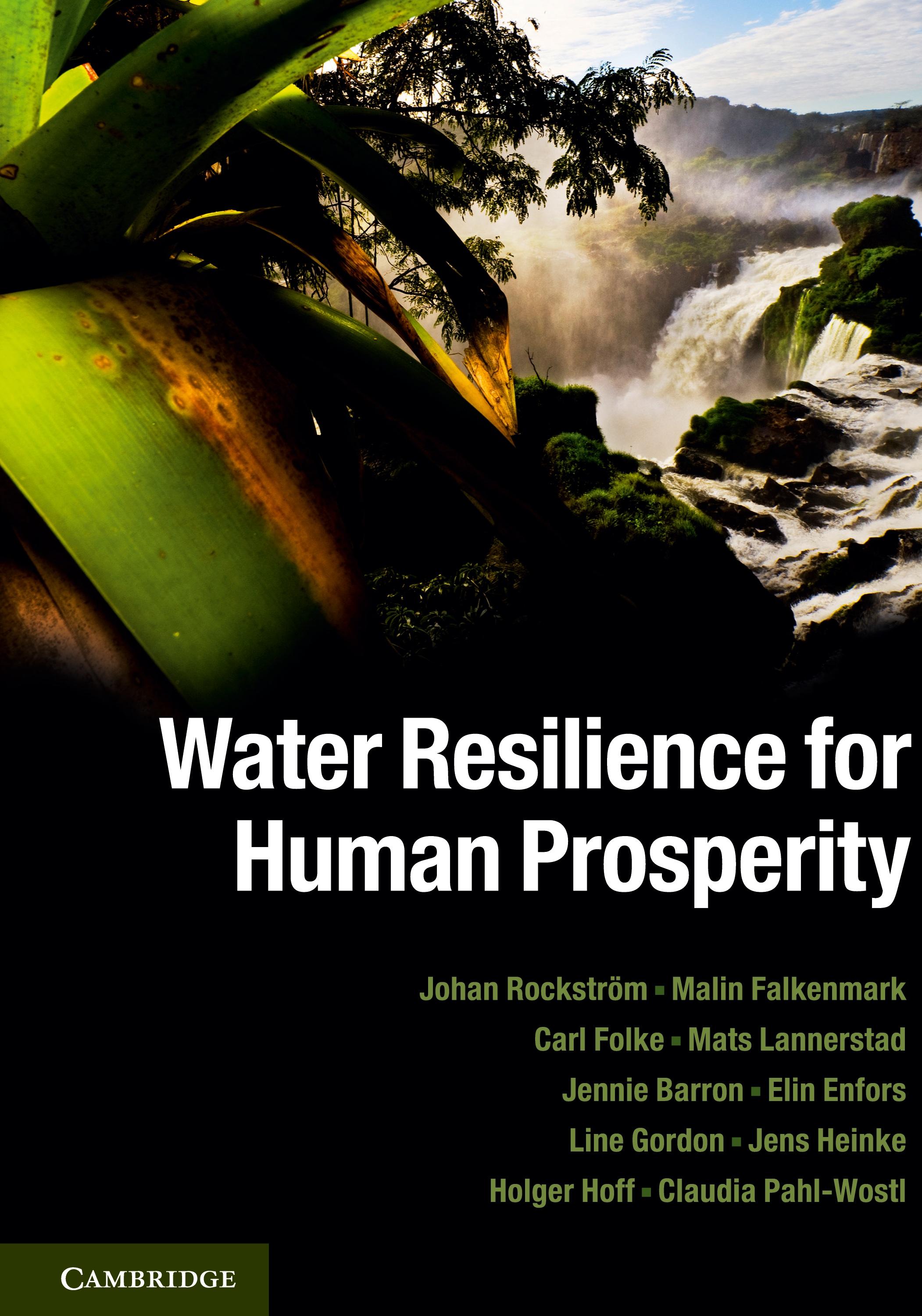 Vorderes Coverbild Water Resilience for Human Prosperity