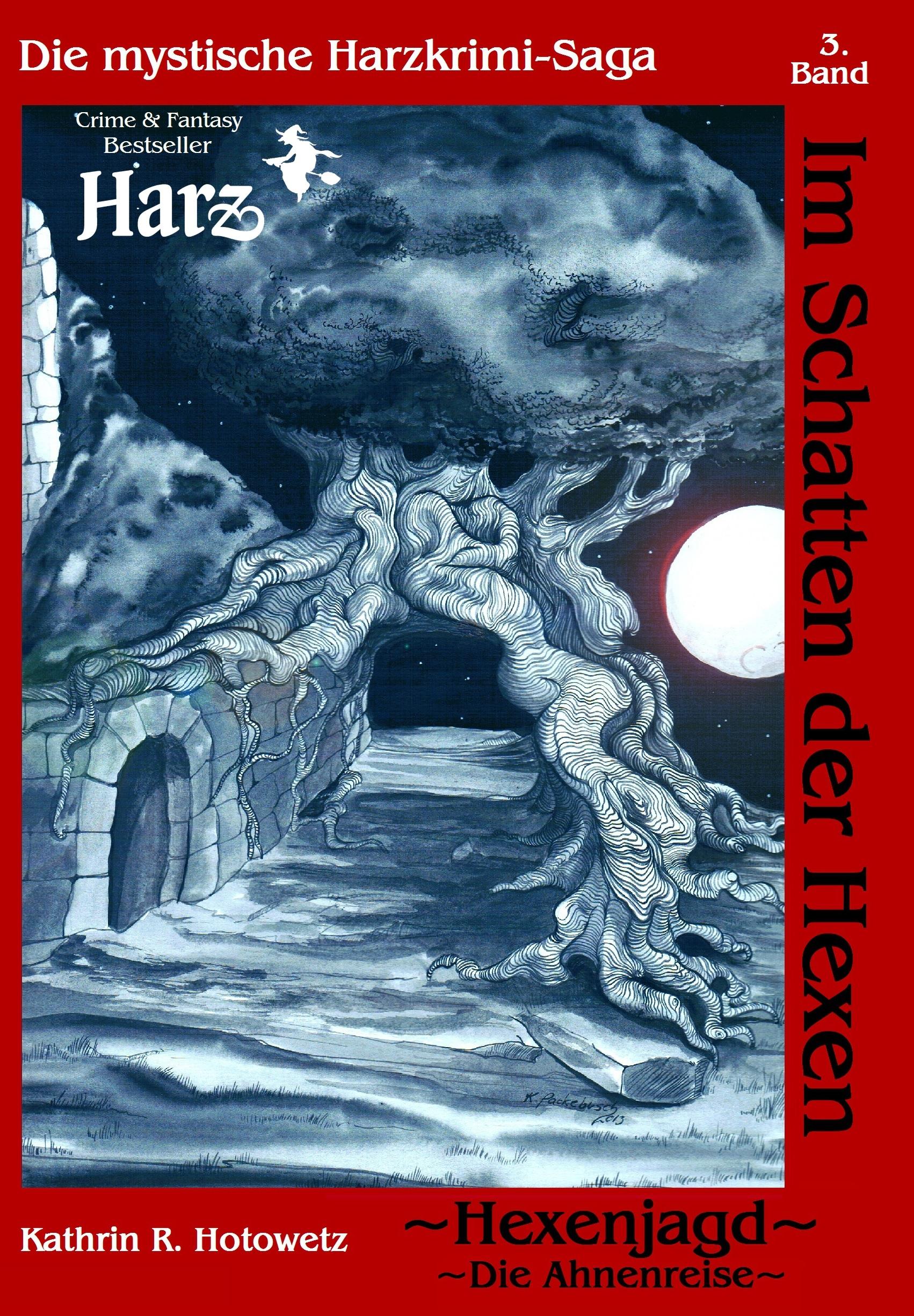 Vorderes Coverbild Im Schatten der Hexen 03. Hexenjagd I - Ahnenreise