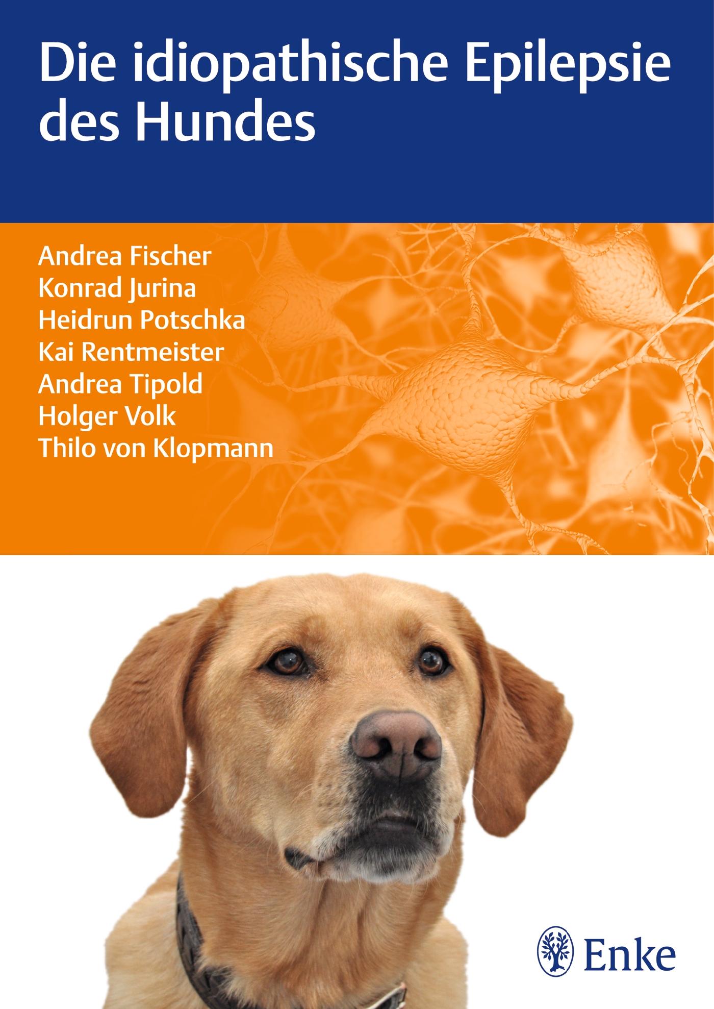 Vorderes Coverbild Die idiopathische Epilepsie des Hundes